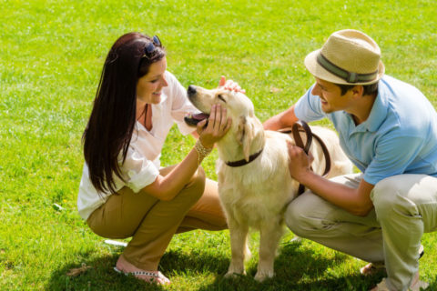 Benefits of Outdoor Dog Training | Michaels Pack | Professional Dog Training Services