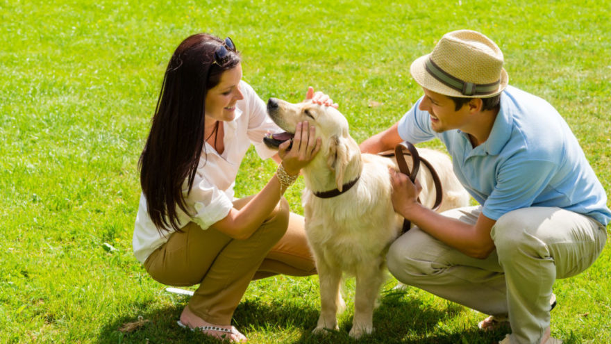 Benefits of Outdoor Dog Training | Michaels Pack | Professional Dog Training Services