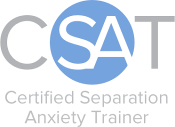 CSAT logo