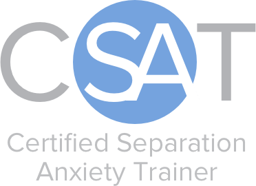 CSAT logo