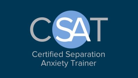What is a CSAT Dog Trainer? (Certified Separation Anxiety Trainer) | Michaels Pack | Professional Dog Training Services