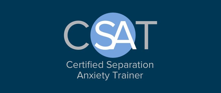 What is a CSAT Dog Trainer? (Certified Separation Anxiety Trainer) | Michaels Pack | Professional Dog Training Services